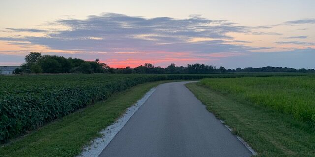 trail section with sunset